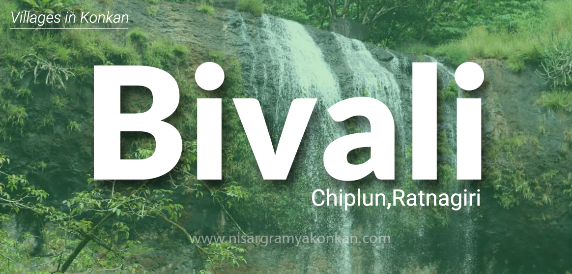 Bivali, Chiplun, Ratnagiri, Maharashtra, India – Nisargramya Konkan